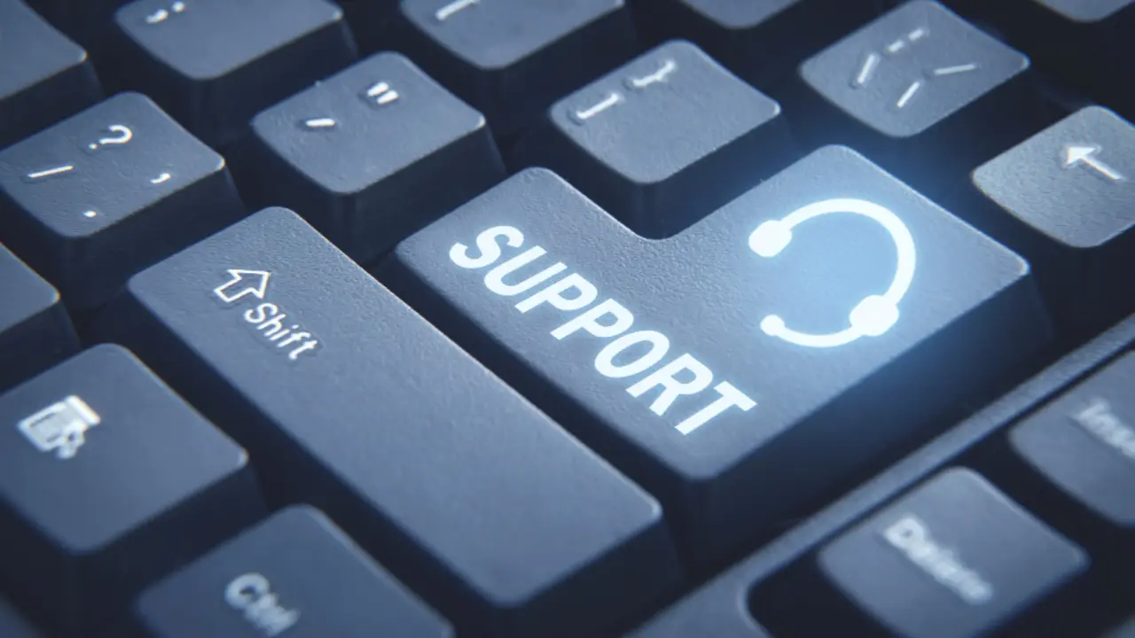 bluebeam support